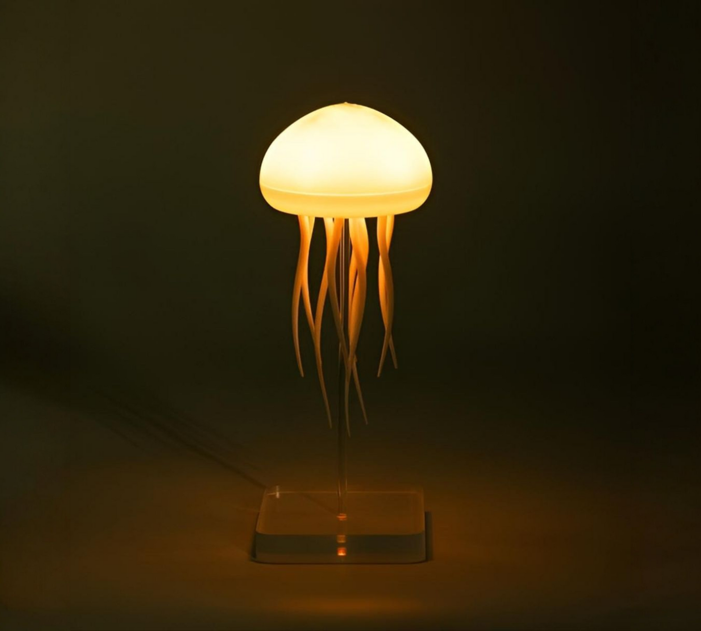 Led night de medusa giratoria