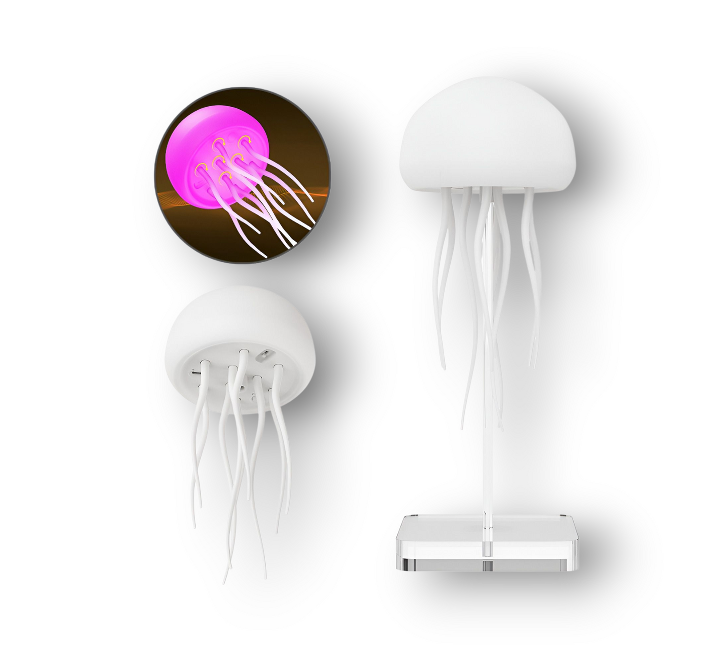 Led night de medusa giratoria