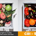 Minifocus Full Color RGB LED Video Light 2500K-7000K 800LUX Mini Fill 3 Cold Shoe 1800mAh Type-C Pocket Camera Hot Shoe Light